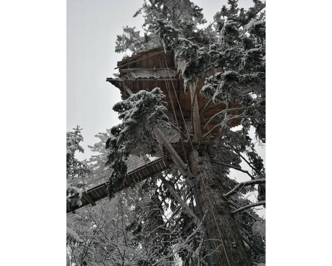 Cabanes Des Volcans La Tour d'Auvergne Bagian luar foto