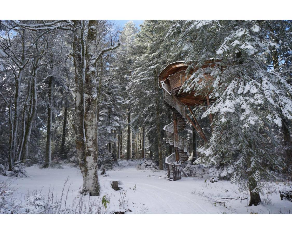 Cabanes Des Volcans La Tour d'Auvergne Bagian luar foto