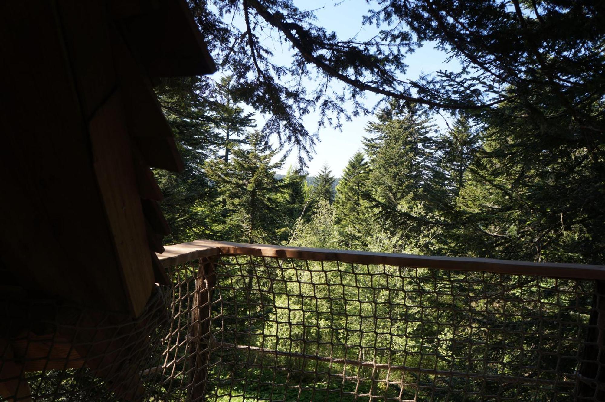 Cabanes Des Volcans La Tour d'Auvergne Ruang foto